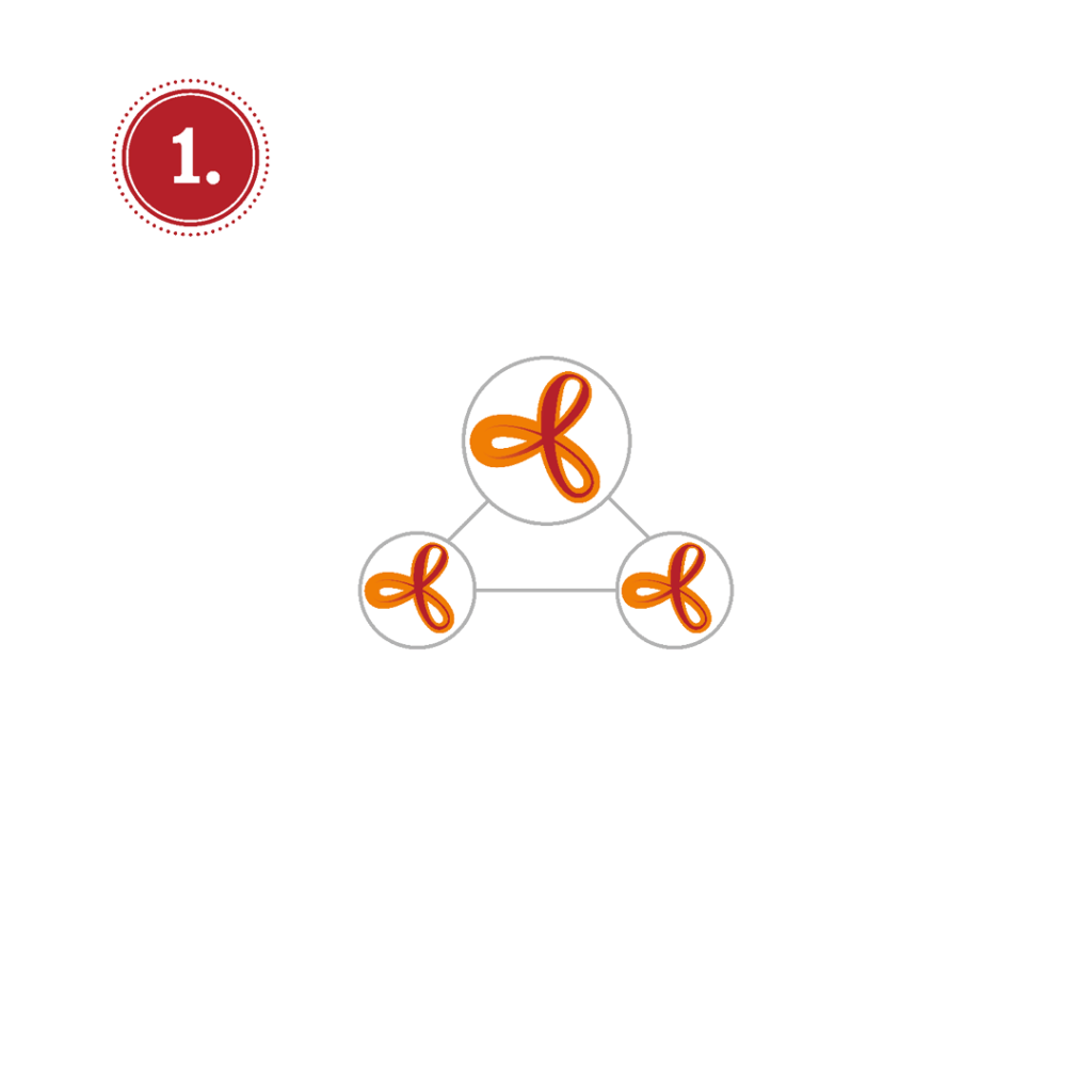 physiotherapie-franchise-schritt-1-elithera-partner-werden